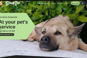 SleepInn